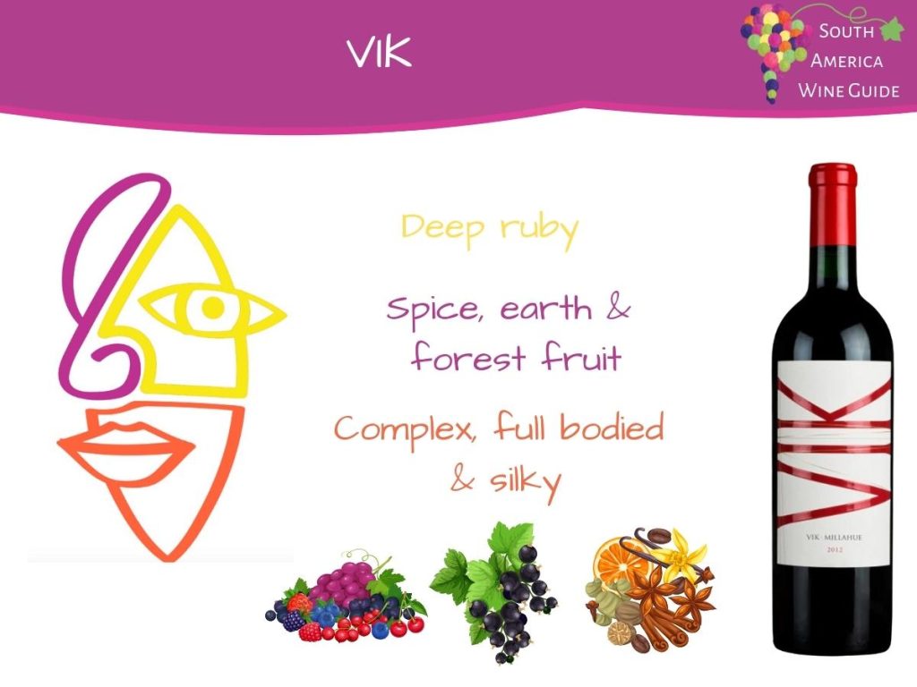 Viña Vik Winery VIK